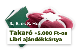 könyv és párna